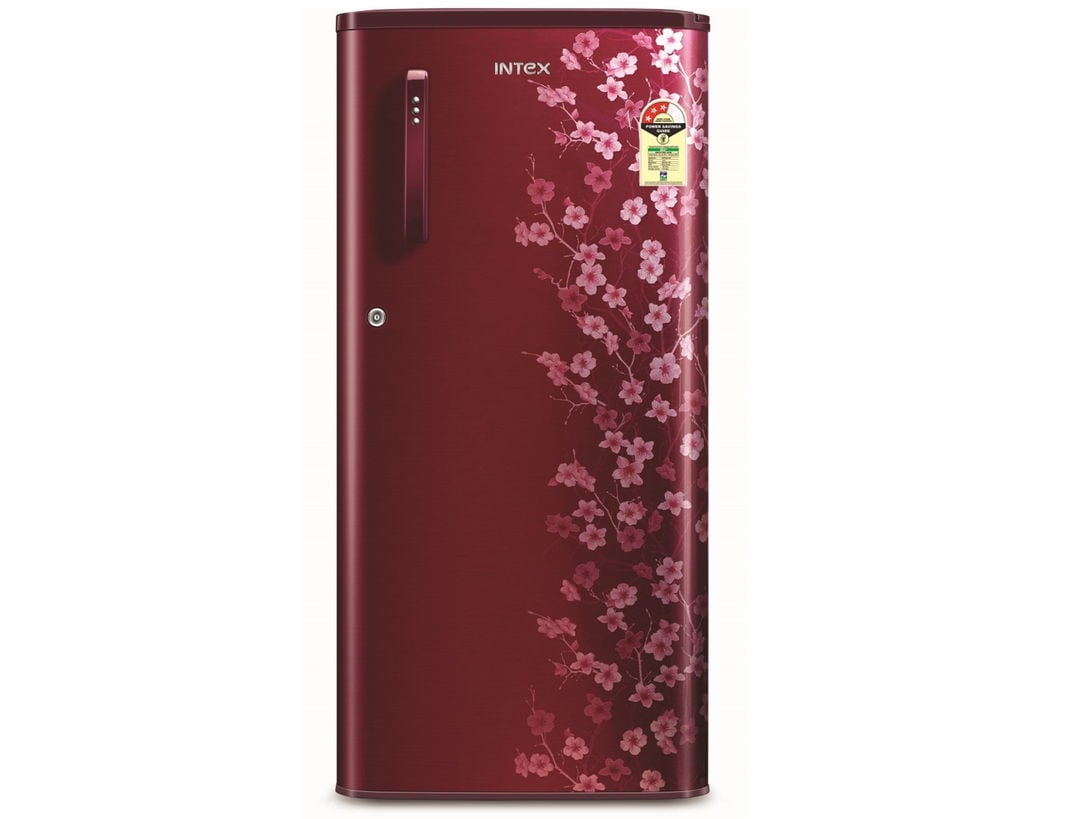 Intex DC Refrigerator- RW203WB - 180L - Blossom Wine
