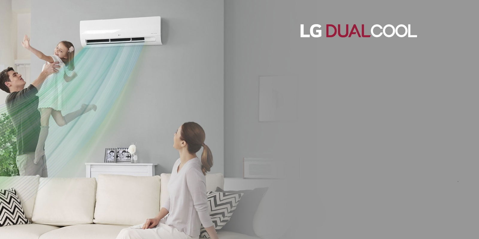 lg dual cool