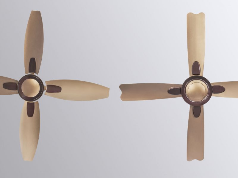 Checkout Usha New Models in Bloom Fan Series - Price and Color