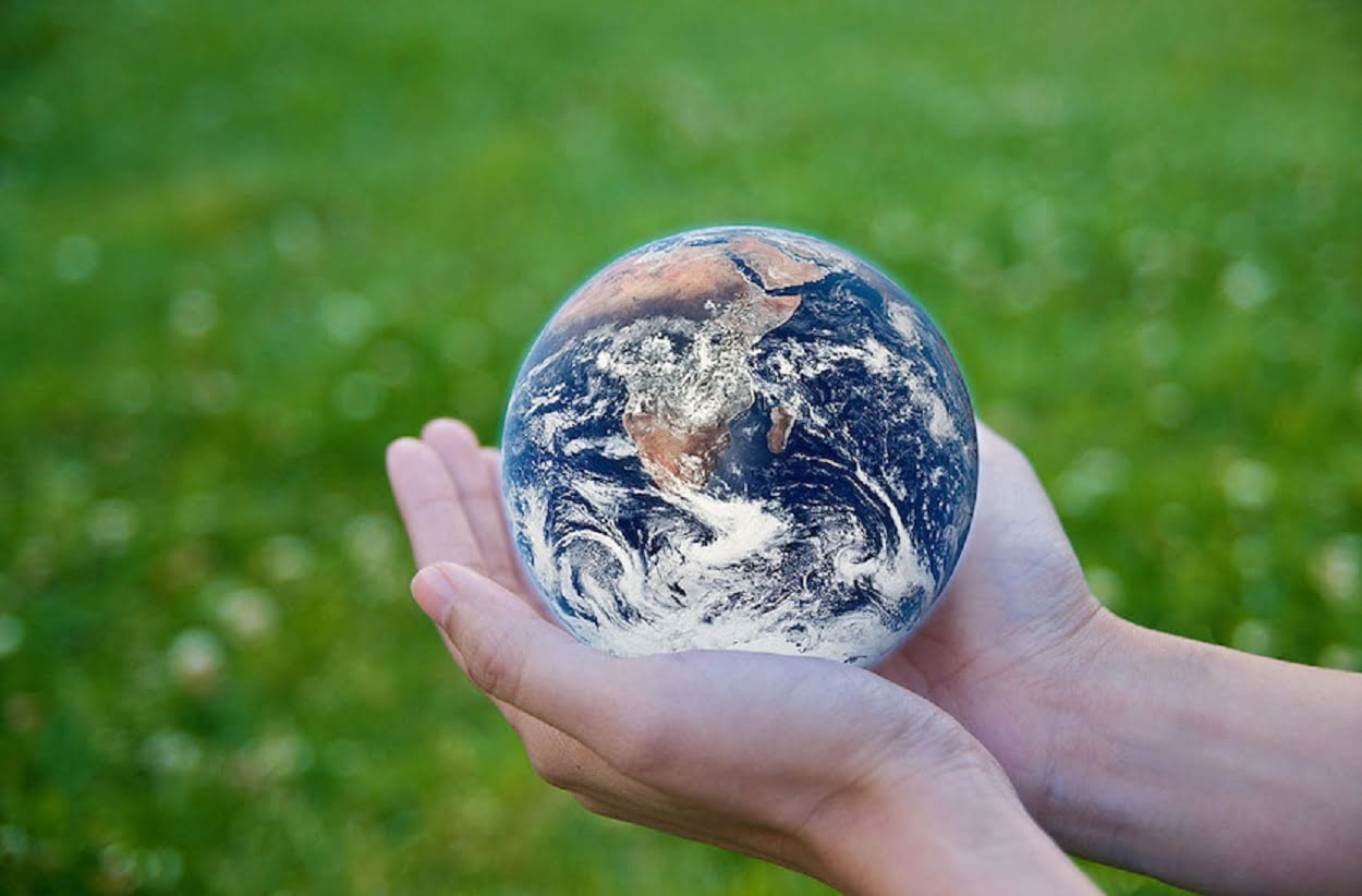 As Consumers Lean Towards Eco-Friendly Products, LG Led The Movement To Save Planet Earth